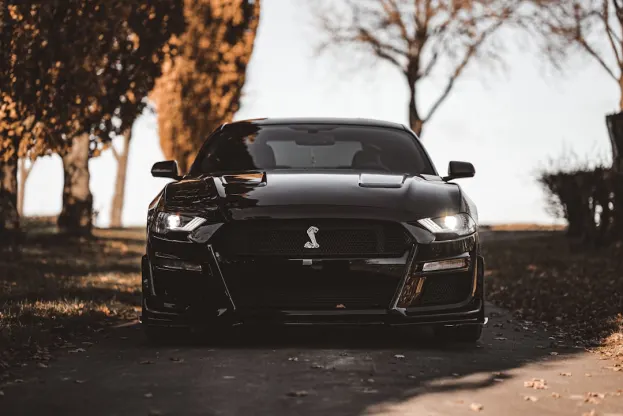 ريبر كازينو تطبيق أندرويد/آي أو إس